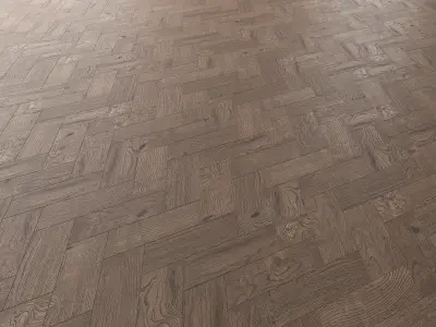 Parquet Oak Missisippi Wild Wood set 5 3D model