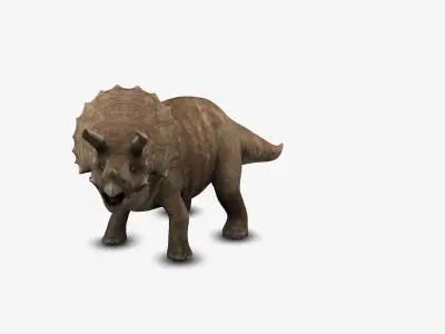 Triceratop 3D model