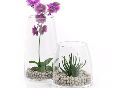 Orchid Flower in Glass Pot 3D model