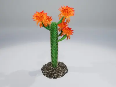 Cactus GF 3D model