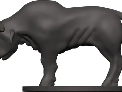 Buffalo bull 3D model