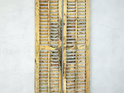 Antique Pair of Kira Shutter Doors 3D model