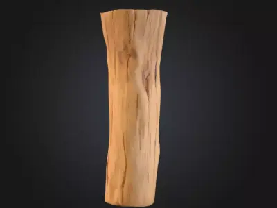 Log Standstill Low-poly 3D model