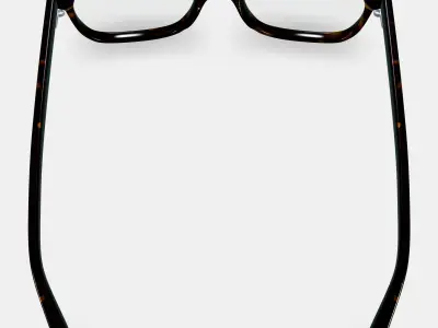 Hector Eyeglasses in Whiskey Tortoise 3D model