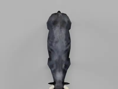 Spanish Bull Cattle Animal Low-poly 3D model