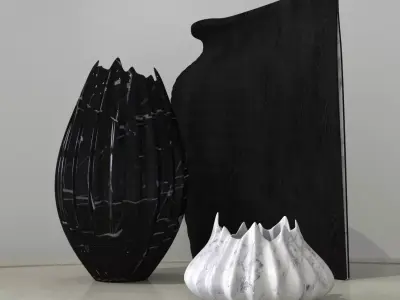Vases by Zaha Hadid  3D model