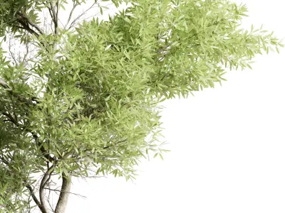 outdoor indoor 85 pot plant tree  bush fern the garden pot 3D model