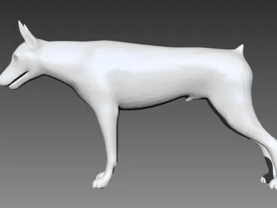 Doberman base mesh for Zbrush 3D model