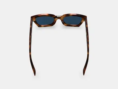 Sonia Sunglasses in Oak Barrel 3D model