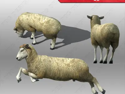 Sheep rigged 3D model