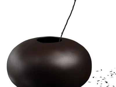 Decorative set with Audo Pavot vase and acacia branch 3D model