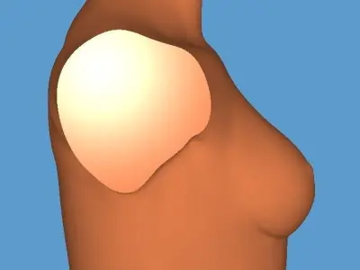 MakeIT Female Bust 3 Piece Top Body Base 3D Model  3D model