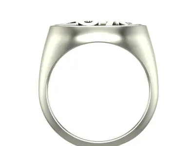 Number Ring 3D 3D print model