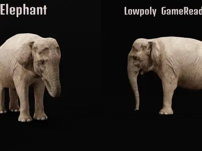 Asian Elephant Adult Low-poly 3D model