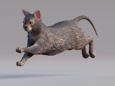 Low Poly - Stylized cats - Lykoi Cat Low-poly 3D model