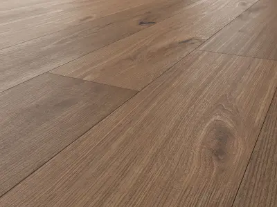 Wood Floor Oak Vergne Wild Wood 3D model