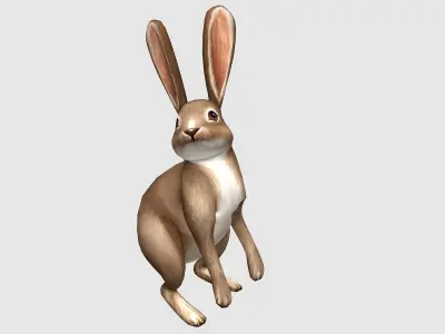 hare rabbit bunny animation  Low-poly 3D model