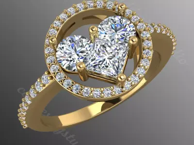 Ring bi160 3D print model