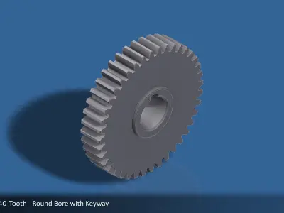 40-Tooth Spur Gear 03 3D print model