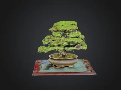 3D Model of a Bonsai Tree in a Pot 3D model