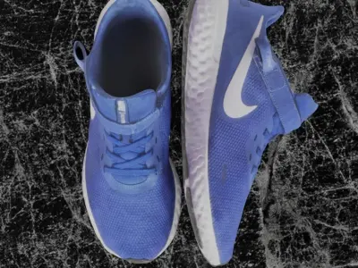 NIKE FLY EASE 3D SHOES - BLUE Low-poly 3D model