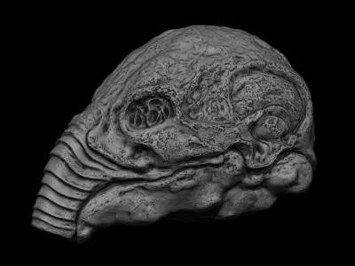 3D PRINTABLE PROMETHEUS ANCIENT ENGINEER HELMET NOT OPENABLE 3D print model