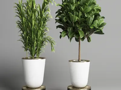 collection Indoor plant 35 -concrete vase Low-poly 3D model