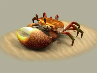 Fiddler crabs Hai River crabs hairy crabs shells oceans 3D model