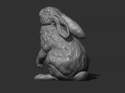  Hare looks up 3D print model