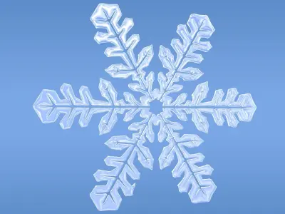 Snowflakes snowflake 3D model