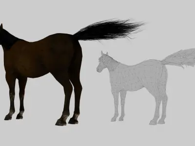 Realistic Horse 3D Model Pack 2 Variants  Game Ready Animals Low-poly 3D model