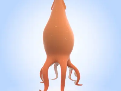 Squid 3D model