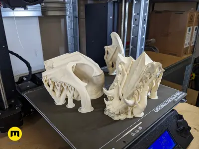 Realistic Animal Skull Collection 3D print model