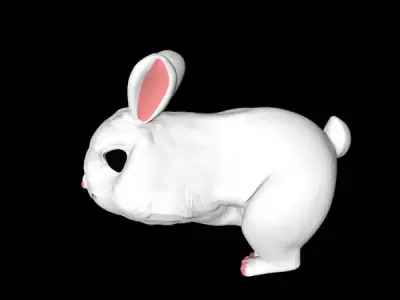 Snowball rabbit 3D model
