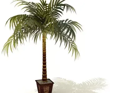 Decorative Palm Tree 3D model