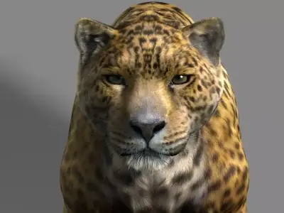 Leopard A jaguar - jaguar 3D model