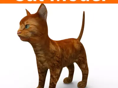 3d low poly Pet Cat Model Low-poly 3D model