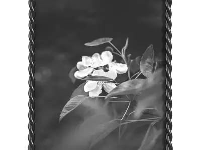 Picture frame 01 3D model