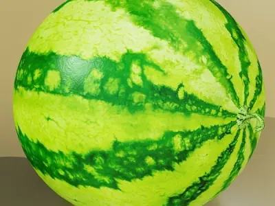 Watermelon High Resolution Texture 3D model