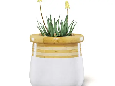 Flowers 3D Model in Large Modern Pot 3D model