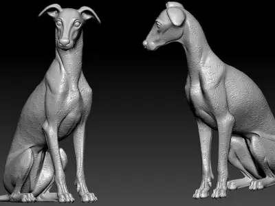 Greyhound breed - Dog greyhound racing model - 3D print 3D print model