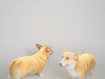 Corgi dog 04 Low-poly 3D model