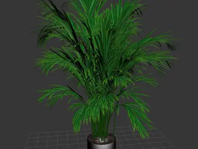 indoor plant 02 3D model