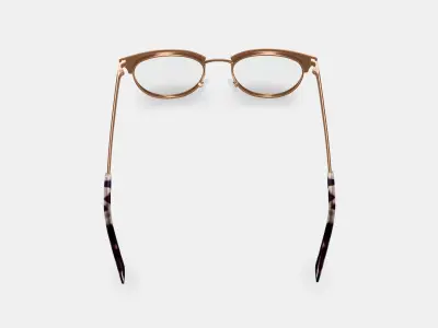 Blair Eyeglasses in Rose Gold 3D model