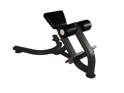 LOWER BACK EXTENSION BENCH Free 3D model
