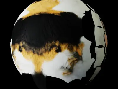 Calico Tricolor Cat Low-poly 3D model