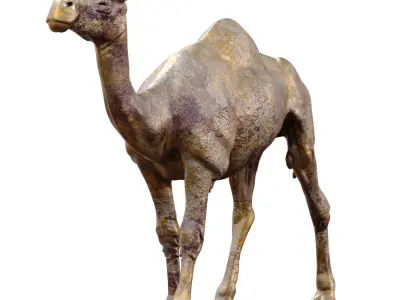 Camel Statue set 765 Low-poly 3D model