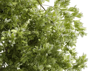 collection outdoor Indoor plants hanging pot 14-metal bax vase  3D model