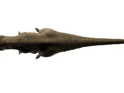 Tyrannosaurus rex 3D model 3D model