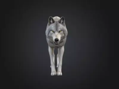 Alpha Wolf Low-poly 3D model